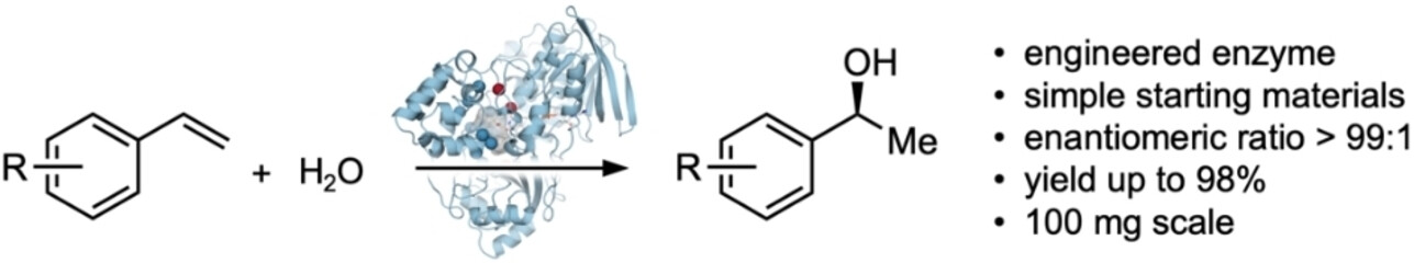 Chiral Alcohols from Alkenes and Water: Directed Evolution of a Styrene Hydratase