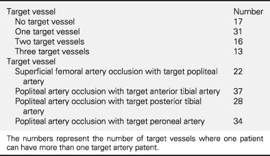 Patterns of arterial involvement and feasibility of revascularization in thromboangiitis obliterans: a tertiary care centre experience
