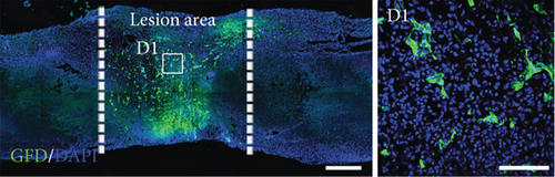 Details are in the caption following the image