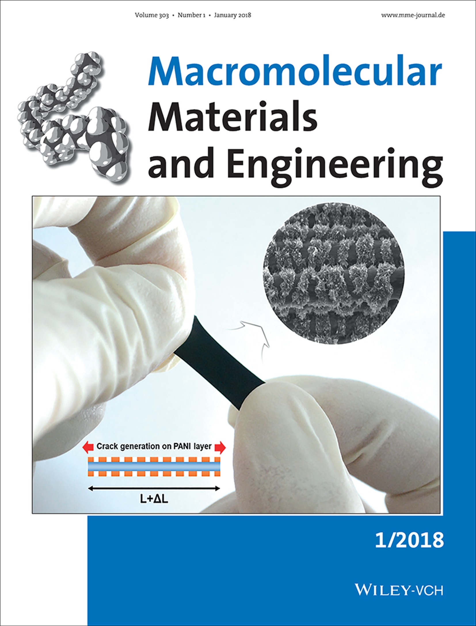 Macromol. Mater. Eng. 1/2018 Volume 303 Issue 1, 2018