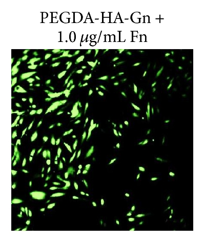 Details are in the caption following the image