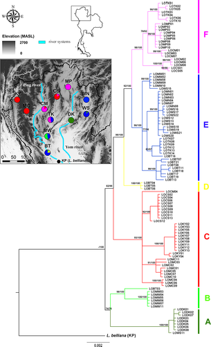 Details are in the caption following the image Details are in the caption following the image