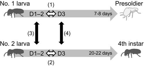 Details are in the caption following the image