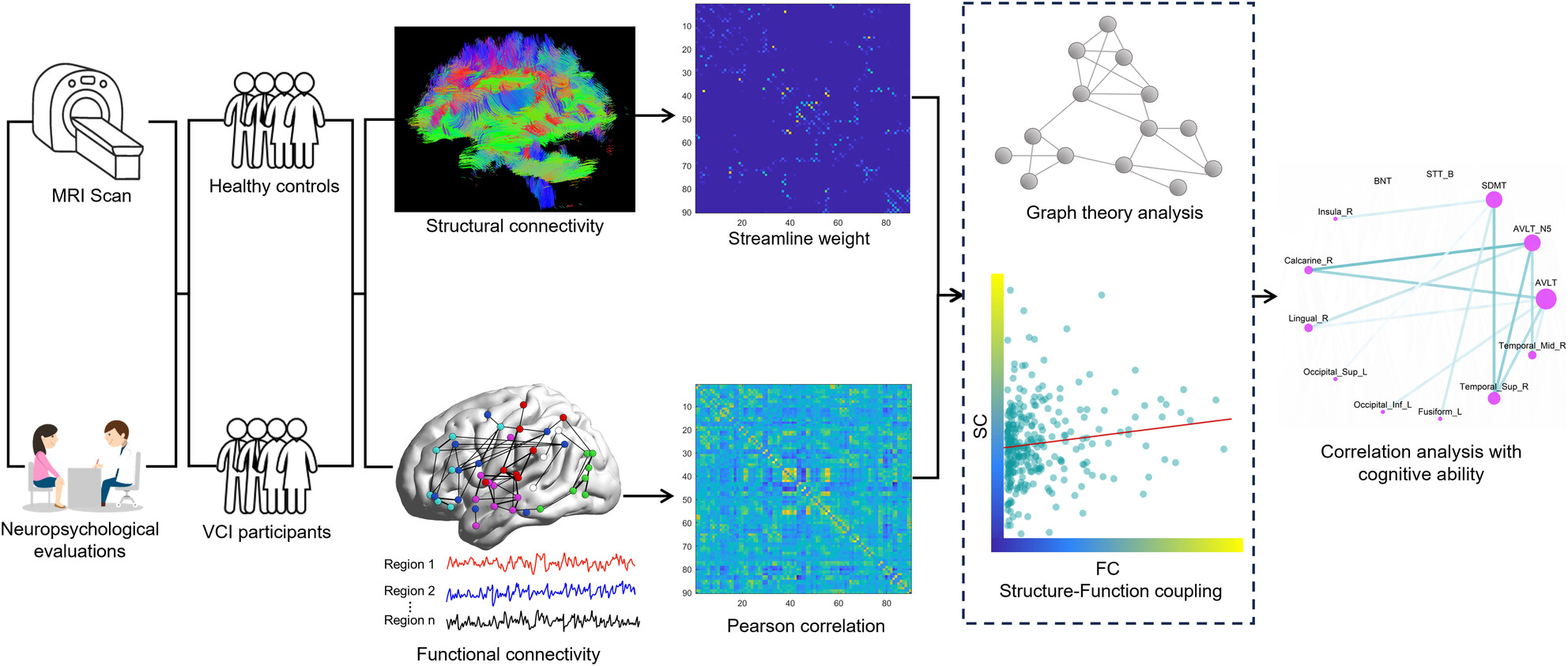 Neural Correlates and Adaptive Mechanisms in Vascular Cognitive Impairment: Exploration of a Structure–Function Coupling Network