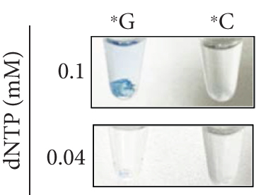 Details are in the caption following the image