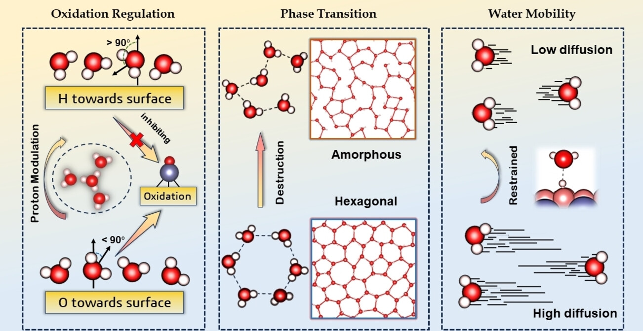 Proton-Driven Dynamic Behavior of Nanoconfined Water in Hydrophilic MXene Sheets