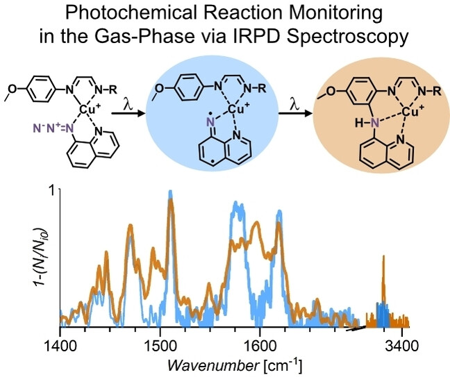 Terminal Copper Nitrenoid Formation and Reactivity Induced by Absorption to an Antenna Ligand