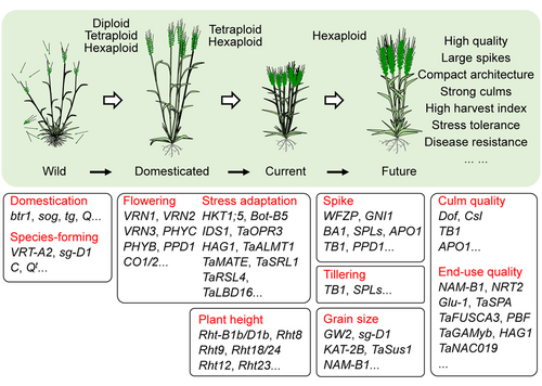 Details are in the caption following the image Details are in the caption following the image