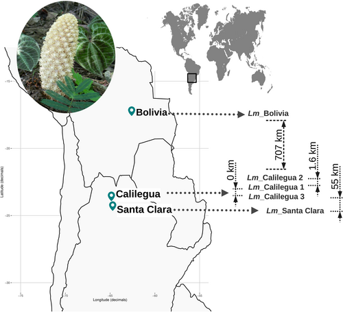 Details are in the caption following the image