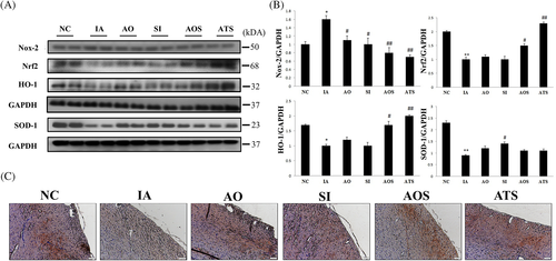 Details are in the caption following the image Details are in the caption following the image