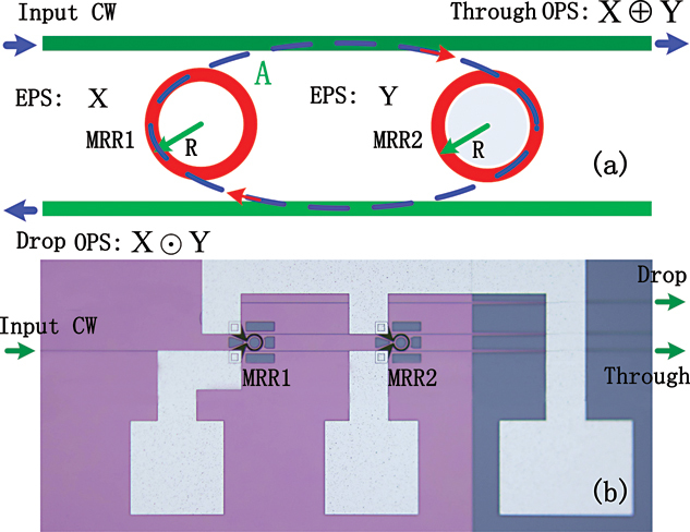 XOR/XNOR directed logic circuit based on coupled-resonator-induced transparency