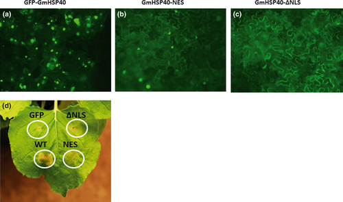 Details are in the caption following the image Details are in the caption following the image