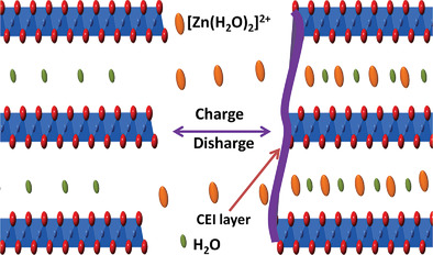 A High-Energy and Long-Life Aqueous Zn/Birnessite Battery via Reversible Water and Zn2+ Coinsertion