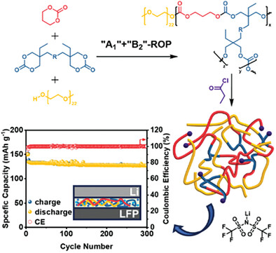 Aliphatic Hyperbranched Polycarbonates Solid Polymer Electrolytes with High Li-Ion Transference Number for Lithium Metal Batteries
