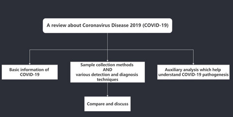 Coronavirus Disease 2019 (COVID-19): Emerging detection technologies and auxiliary analysis