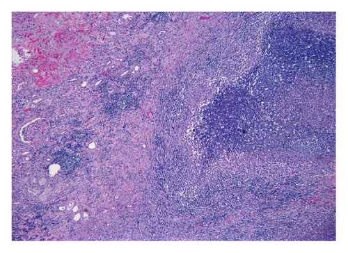 Details are in the caption following the image
