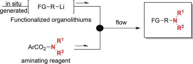 A Catalyst-Free Amination of Functional Organolithium Reagents by Flow Chemistry