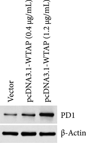 Details are in the caption following the image