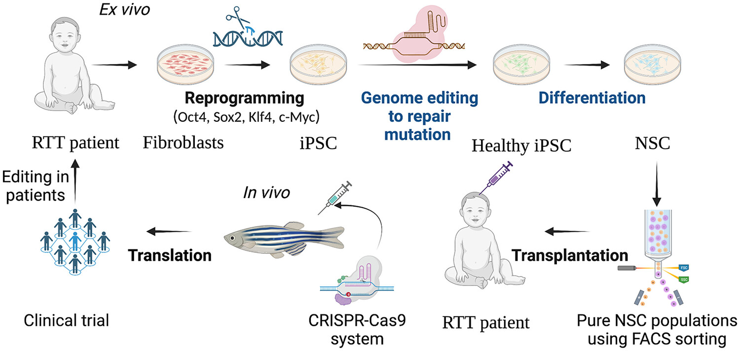 Zebrafish in understanding molecular pathophysiology, disease modeling, and developing effective treatments for Rett syndrome