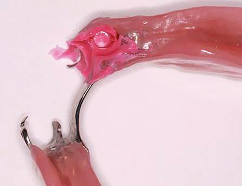 Details are in the caption following the image
