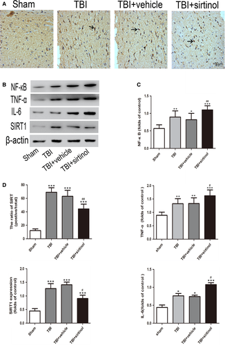 Details are in the caption following the image Details are in the caption following the image