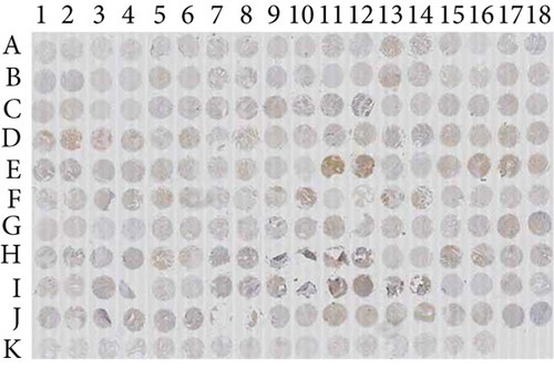 Details are in the caption following the image Details are in the caption following the image