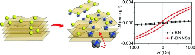 One-Step Exfoliation and Fluorination of Boron Nitride Nanosheets and a Study of Their Magnetic Properties