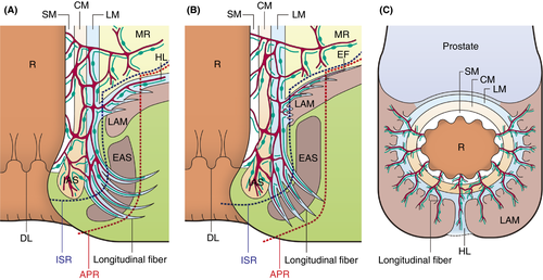 Details are in the caption following the image Details are in the caption following the image