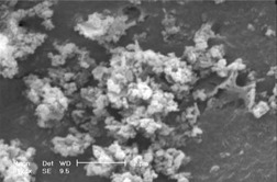 Hydrogen Peroxide Decomposition over Nanosized La1–XCaXMnO3 (0 ≤ X ≤ 0.6) Perovskite Oxides