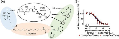 Details are in the caption following the image Details are in the caption following the image