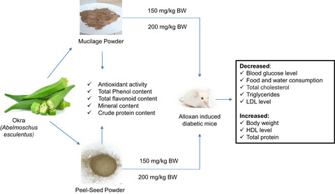 Evaluation of in vitro antioxidant activity of okra mucilage and its antidiabetic and antihyperlipidemic effect in alloxan-induced diabetic mice