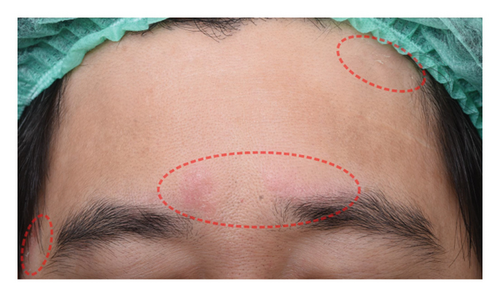 Details are in the caption following the image Details are in the caption following the image