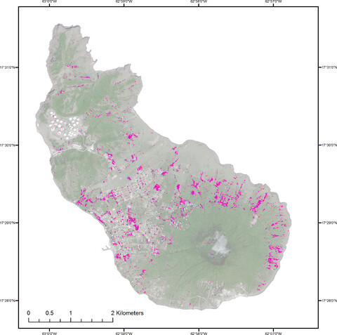 High spatial resolution mapping identifies habitat characteristics of the invasive vine Antigonon leptopus on St. Eustatius (Lesser Antilles)