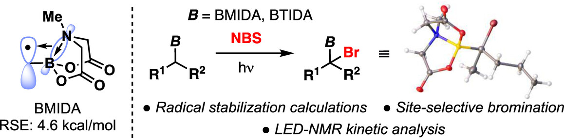 MIDA- and TIDA-Boronates Stabilize α-Radicals Through B−N Hyperconjugation