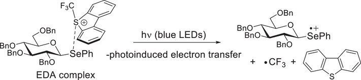 A Visible-Light-Driven O-Glycosylation with Selenoglycosides Mediated by Chalcogen Bonding to Umemoto's Reagent