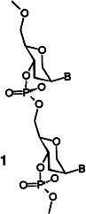 1,5-Anhydrohexitol Nucleic Acids, a New Promising Antisense Construct