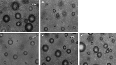 Effect of total replacement of egg by soymilk and lecithin on physical properties of batter and cake