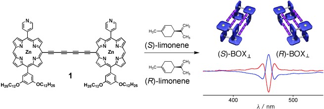 Chiroptical Sensing of Asymmetric Hydrocarbons Using a Homochiral Supramolecular Box from a Bismetalloporphyrin Rotamer
