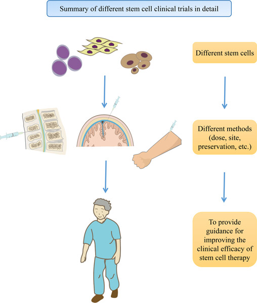 Research progress in clinical trials of stem cell therapy for stroke and neurodegenerative diseases