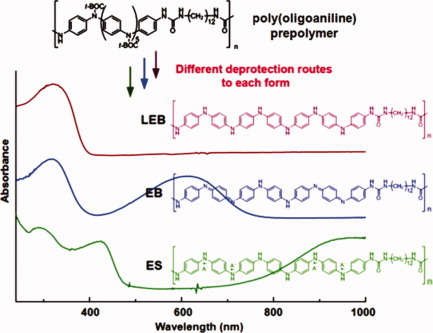 Synthesis of poly(oligoaniline)s with structures controlled over three different oxidation states
