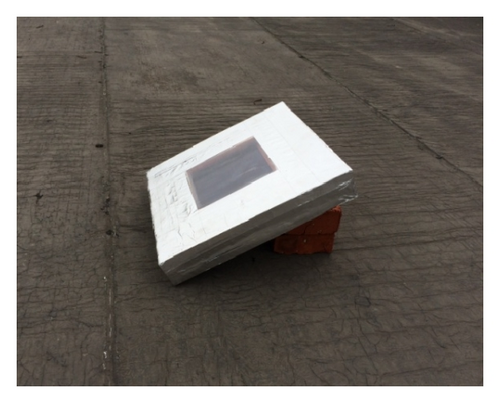 Details are in the caption following the image Details are in the caption following the image