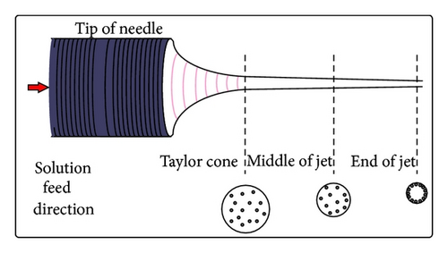 Details are in the caption following the image