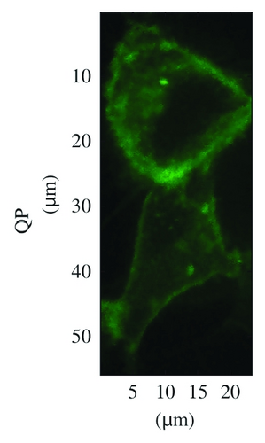 Details are in the caption following the image