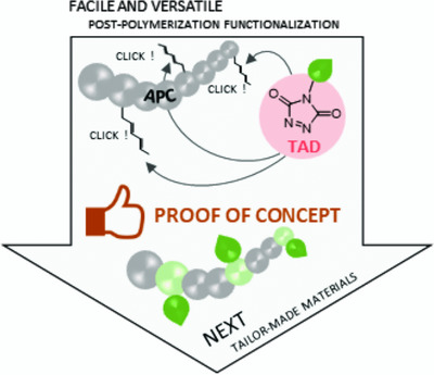 TAD Click Chemistry on Aliphatic Polycarbonates: A First Step Toward Tailor-Made Materials