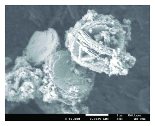 Details are in the caption following the image