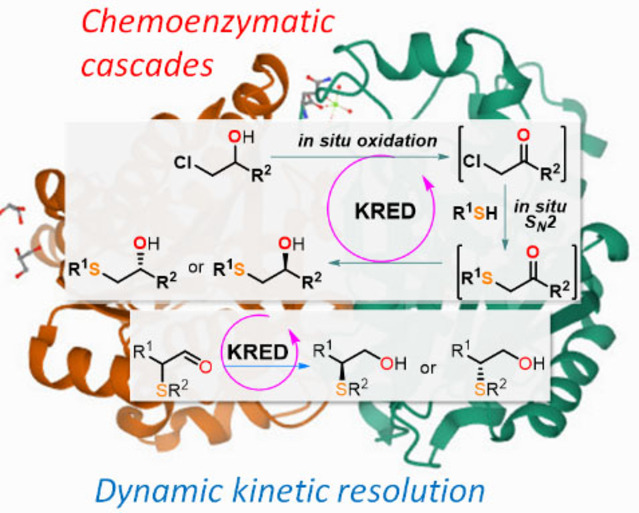 Chemoenzymatic Cascades for the Enantioselective Synthesis of β-Hydroxysulfides Bearing a Stereocentre at the C−O or C−S Bond by Ketoreductases