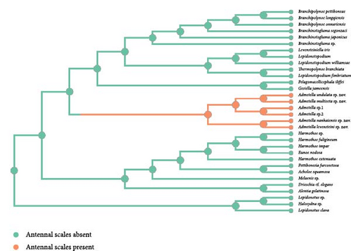 Details are in the caption following the image Details are in the caption following the image