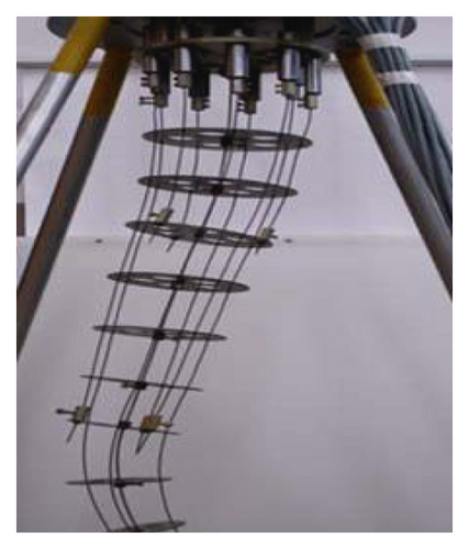 Details are in the caption following the image