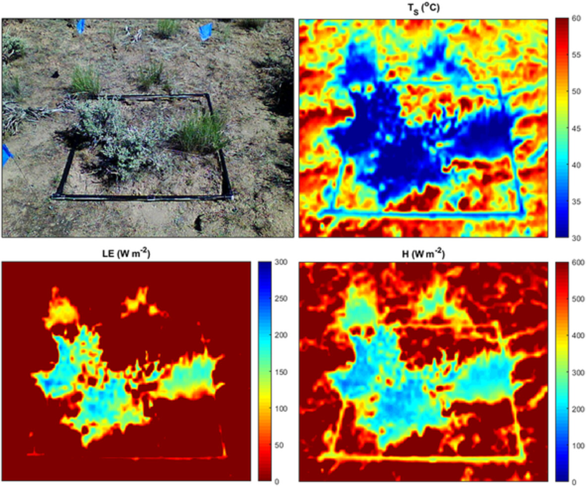 Ground-based infrared thermometry reveals seasonal evapotranspiration patterns in semiarid rangelands