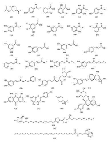 Details are in the caption following the image